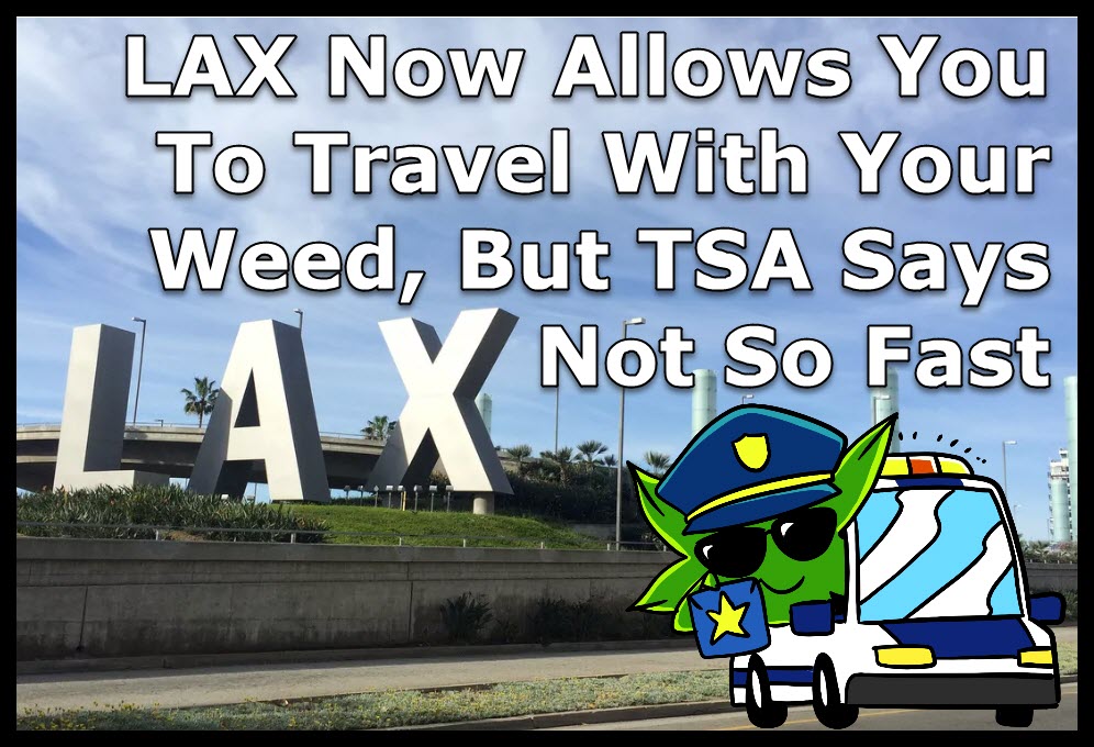 TSA ON TRAVELING WITH WEED